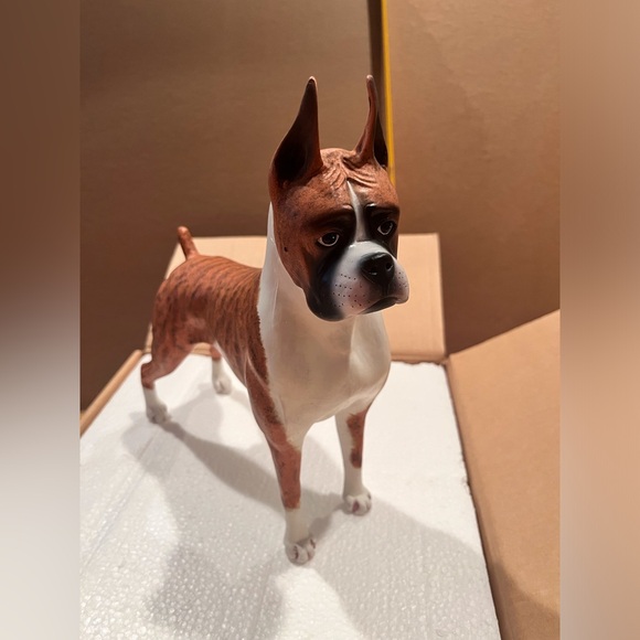 Never displayed, beautiful Boxer model. - Picture 9 of 9